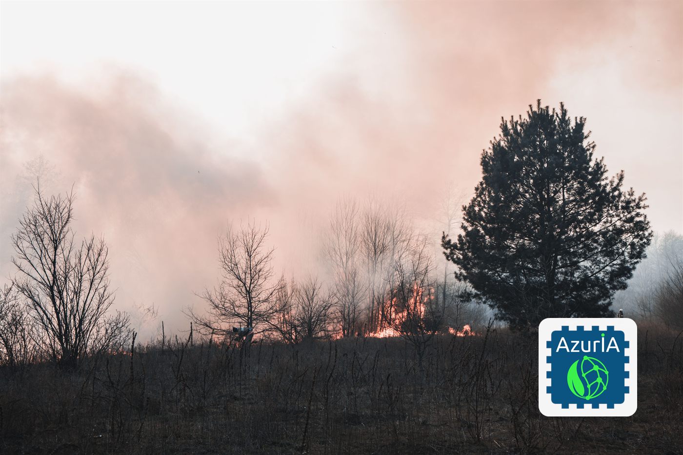 Départ de feu en forêt : détection précoce de la fumée par analyse vidéo embarquée